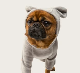 Matching Bandanas Set