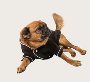 Matching Tote Bag & Dog Bandana